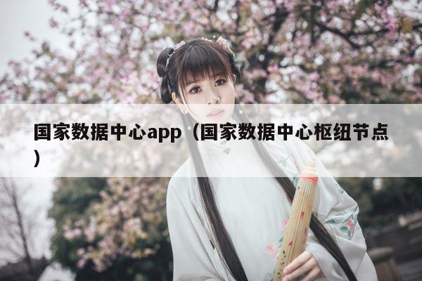 国家数据中心app（国家数据中心枢纽节点）