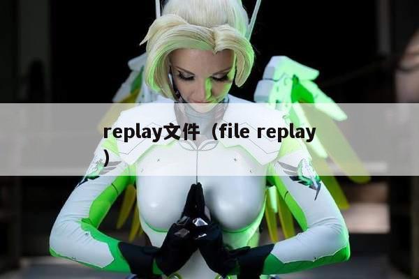 replay文件（file replay）