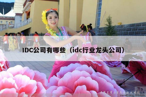 IDC公司有哪些（idc行业龙头公司）