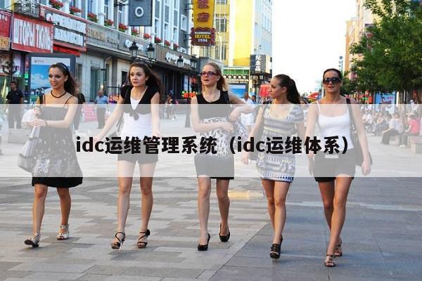 idc运维管理系统（idc运维体系）