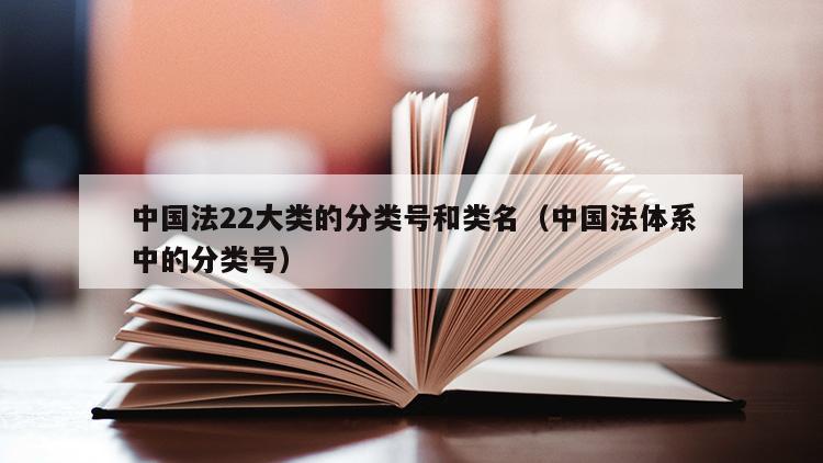 中国法22大类的分类号和类名（中国法体系中的分类号）