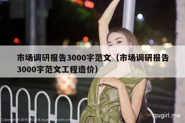 市场调研报告3000字范文（市场调研报告3000字范文工程造价）