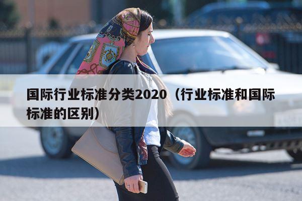 国际行业标准分类2020（行业标准和国际标准的区别）