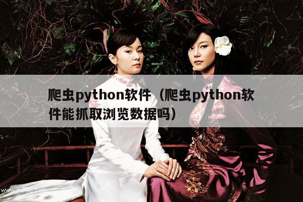 爬虫python软件（爬虫python软件能抓取浏览数据吗）