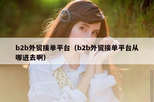 b2b外贸接单平台（b2b外贸接单平台从哪进去啊）