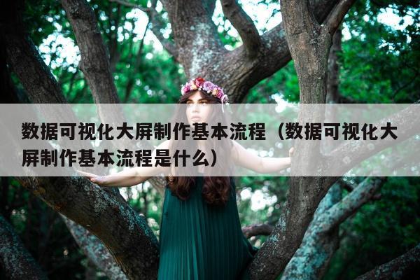 数据可视化大屏制作基本流程（数据可视化大屏制作基本流程是什么）