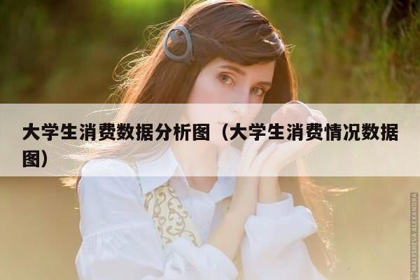 大学生消费数据分析图（大学生消费情况数据图）