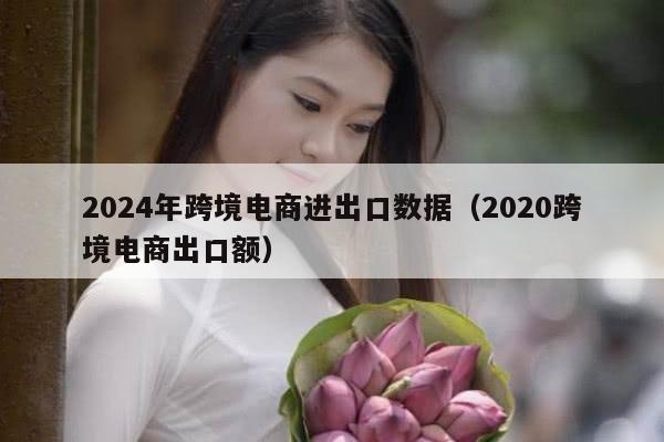 2024年跨境电商进出口数据（2020跨境电商出口额）