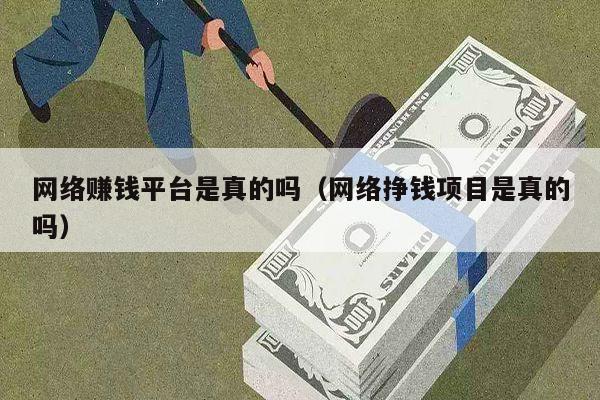 网络赚钱平台是真的吗（网络挣钱项目是真的吗）