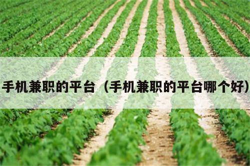 手机兼职的平台（手机兼职的平台哪个好）