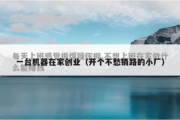 一台机器在家创业（开个不愁销路的小厂）