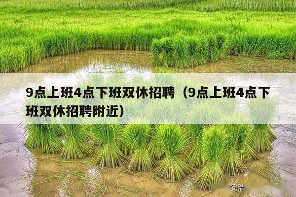 9点上班4点下班双休招聘（9点上班4点下班双休招聘附近）