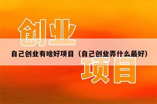 自己创业有啥好项目（自己创业弄什么最好）