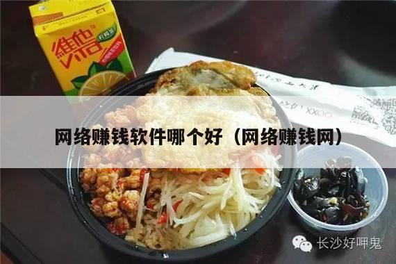 网络赚钱软件哪个好（网络赚钱网）