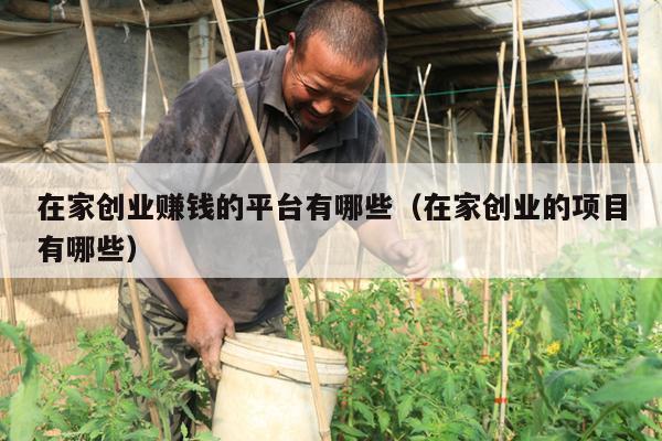 在家创业赚钱的平台有哪些（在家创业的项目有哪些）