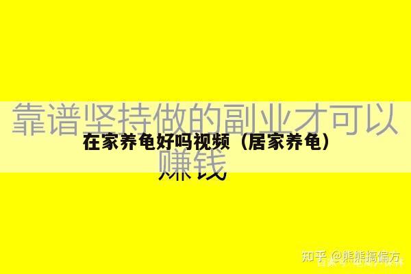 在家养龟好吗视频（居家养龟）