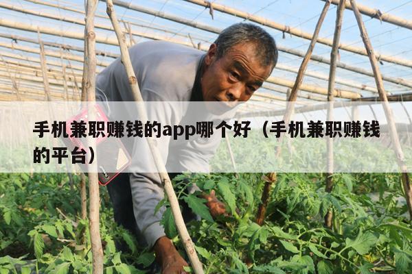 手机兼职赚钱的app哪个好（手机兼职赚钱的平台）