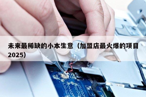未来最稀缺的小本生意（加盟店最火爆的项目2025）