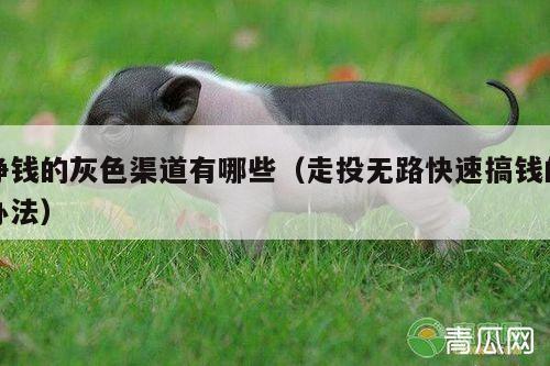 挣钱的灰色渠道有哪些(走投无路快速搞钱的办法)