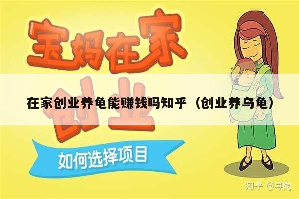 在家创业养龟能赚钱吗知乎（创业养乌龟）