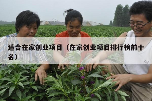 适合在家创业项目（在家创业项目排行榜前十名）