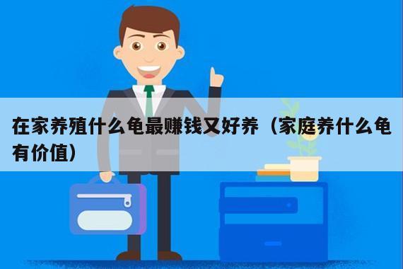 在家养殖什么龟最赚钱又好养(家庭养什么龟有价值)