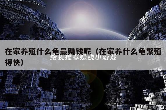 在家养殖什么龟最赚钱呢（在家养什么龟繁殖得快）