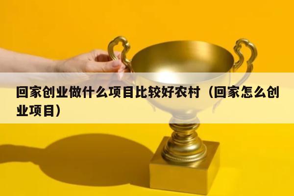回家创业做什么项目比较好农村（回家怎么创业项目）