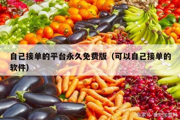 自己接单的平台永久免费版(可以自己接单的软件)
