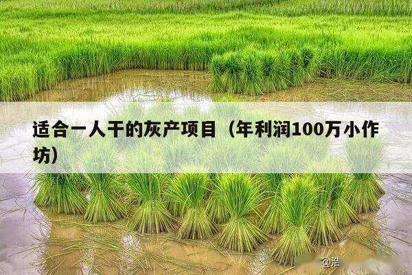 适合一人干的灰产项目（年利润100万小作坊）