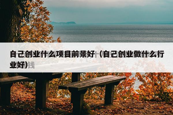 自己创业什么项目前景好(自己创业做什么行业好)