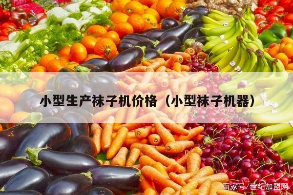 小型生产袜子机价格（小型袜子机器）