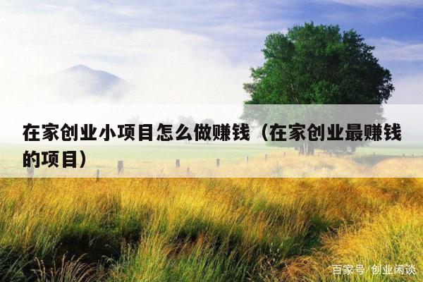 在家创业小项目怎么做赚钱（在家创业最赚钱的项目）