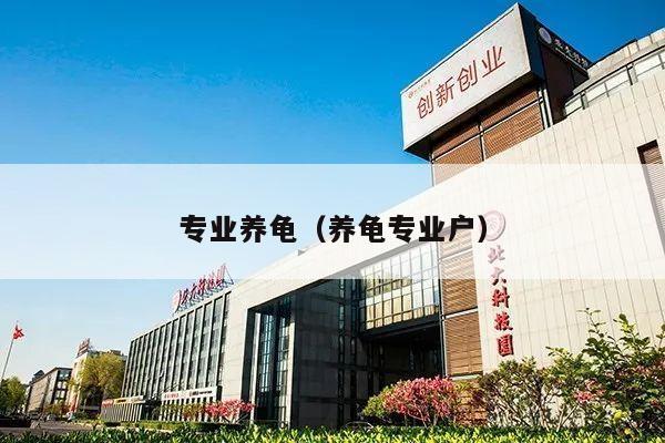 专业养龟（养龟专业户）