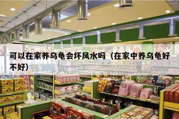 可以在家养乌龟会坏风水吗（在家中养乌龟好不好）