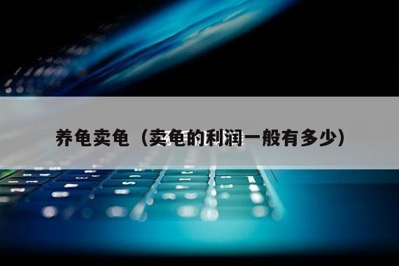 养龟卖龟（卖龟的利润一般有多少）