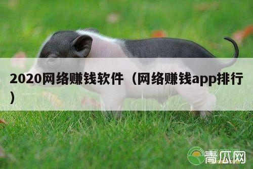 2020网络赚钱软件（网络赚钱app排行）