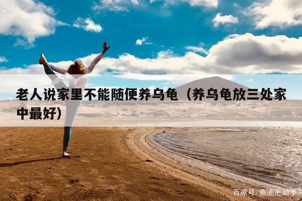 老人说家里不能随便养乌龟（养乌龟放三处家中最好）