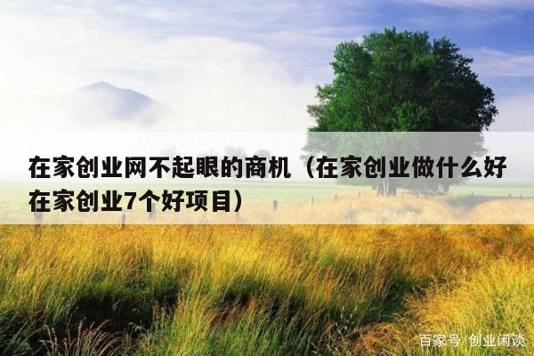 在家创业网不起眼的商机（在家创业做什么好在家创业7个好项目）