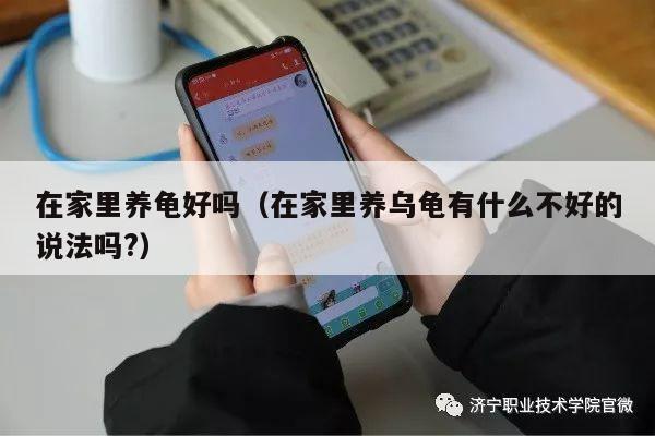 在家里养龟好吗（在家里养乌龟有什么不好的说法吗?）