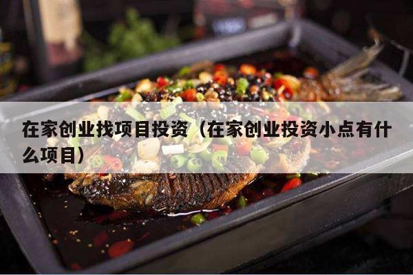 在家创业找项目投资（在家创业投资小点有什么项目）