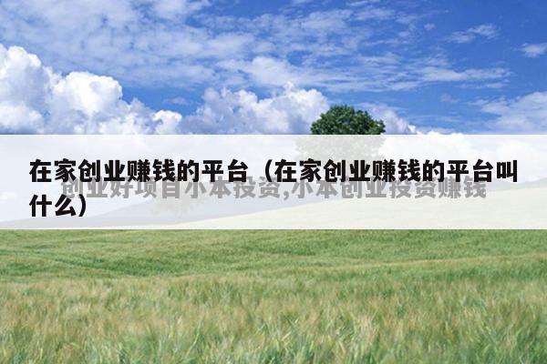 在家创业赚钱的平台(在家创业赚钱的平台叫什么)