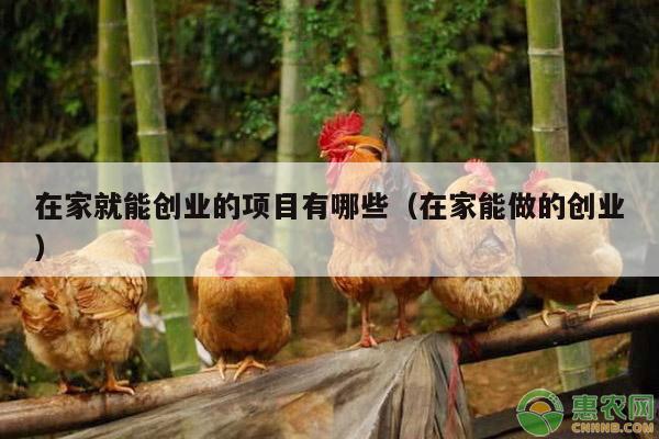 在家就能创业的项目有哪些（在家能做的创业）