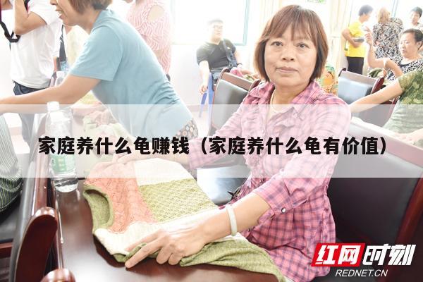 家庭养什么龟赚钱（家庭养什么龟有价值）