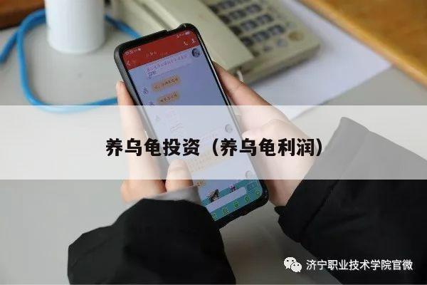 养乌龟投资（养乌龟利润）