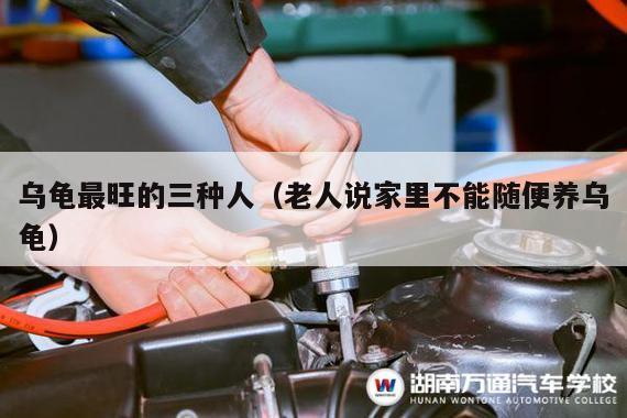 乌龟最旺的三种人（老人说家里不能随便养乌龟）