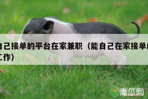 自己接单的平台在家兼职（能自己在家接单的工作）