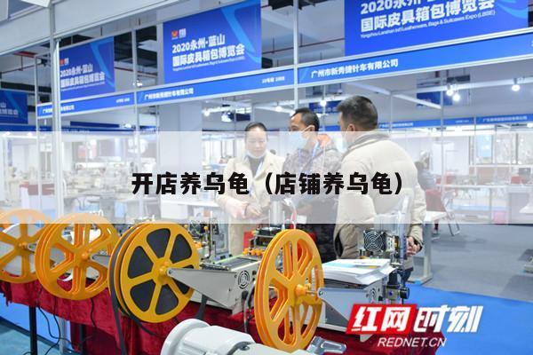 开店养乌龟（店铺养乌龟）