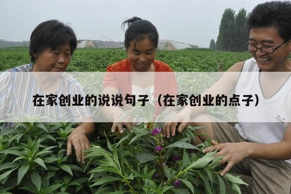 在家创业的说说句子（在家创业的点子）