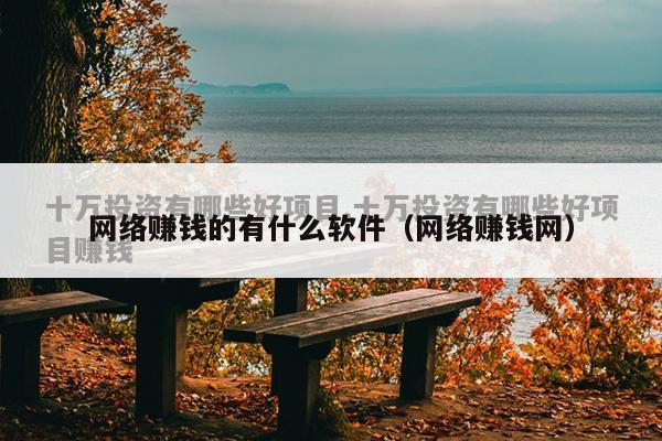 网络赚钱的有什么软件（网络赚钱网）